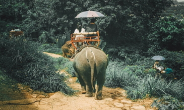 Elegant Bangkok & Pattaya & Phuket Turu - Ekstra Turlar Dahil