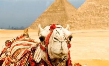 Sharm ve Kahire  Turu - Ajet Havayolları ile - 6 Gece 8 Gün - 1 Mayıs Özel