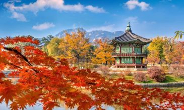 Elit Japonya Kore Turu - Türk Havayolları ile - 7 Gece 10 Gün - Ekstra Turlar Dahil  - 15 Temmuz Dönemi