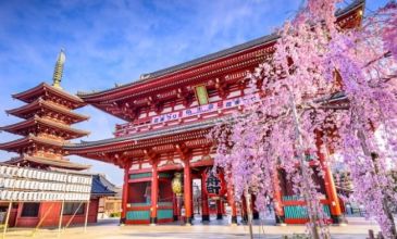 Japonya Kore Turu - Türk Havayolları - 10 Gece 12 Gün