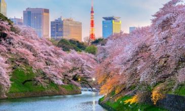 Grand Japonya - Kore Turu - Türk Hava Yolları İle - 7 Gece 9 Gün - Tüm Turlar Dahil