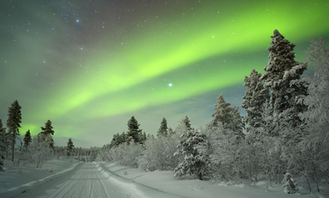 Elegant Murmansk Kuzey Işıkları Turu - Ekstra Turlar Dahil