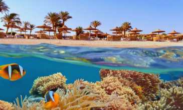 Sharm el Sheikh Turu - Pegasus Havayolları ile - 3 Gece 4 Gün - Ara Tatil Özel