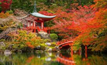 Comfort Japonya & Kore Turu - Qatar Hava Yolları İle - 8 Gece 11 Gün  - Ekstra Turlar Dahil