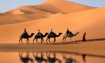Sharm el Sheikh Turu  - Pegasus Hava Yolları İle - 3 Gece 4 Gün - 29 Ekim Özel