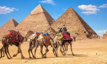 Petra – Wadi Rum – Lut Gölü – Sharm El Sheikh – Giza Piramitleri Turu - Türk Havayolları ile - 7 Gece 8 Gün - Kurban Bayramı Özel