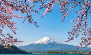 Büyük Japonya  Turu -  All Nippon Airways İle - 6 Gece 8 Gün