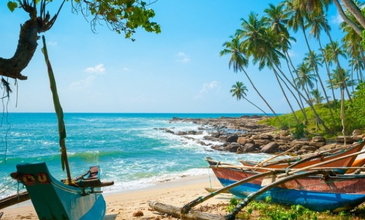 Sri Lanka Turu - Ekstra Turlar Dahil