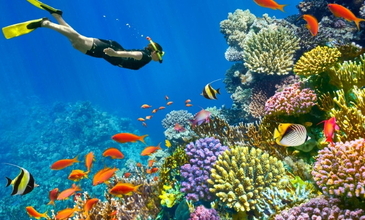 Antalya Kalkışlı Sharm el Sheikh Turu – Her Şey Dahil Konaklama –  – Şehir Turu Dahil