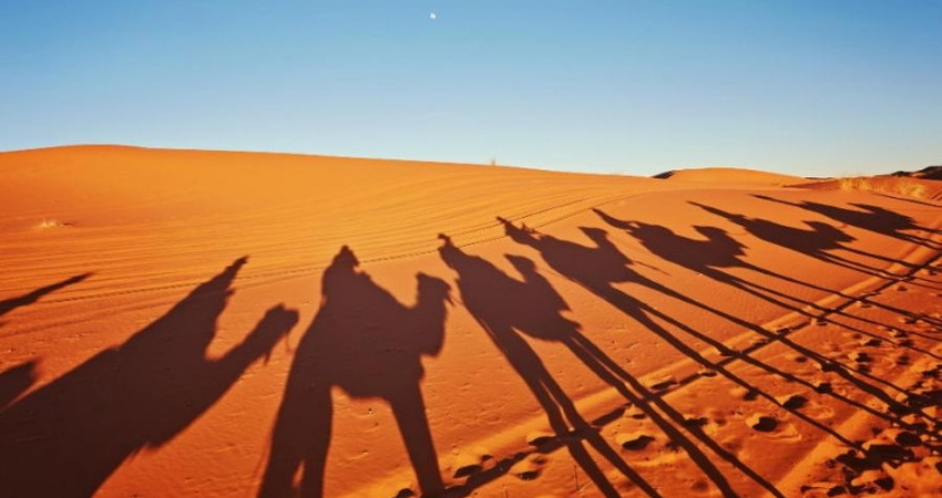 Elegant Fas & Çöl Safari Turu - Türk Hava Yolları ile - 4 Gece 5 Gün - Ekstra Turlar Dahil