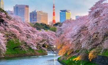 Elegant Japonya & Güney Kore Turu - Ekstra Turlar Dahil