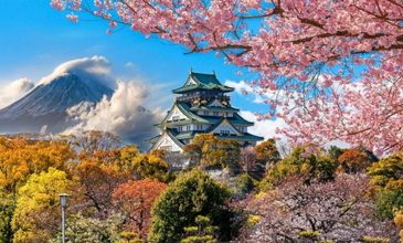 Elegant Japonya & Güney Kore Turu - Ekstra Turlar Dahil