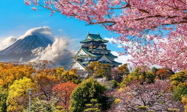 Elegant Japonya & Güney Kore Turu - Ekstra Turlar Dahil