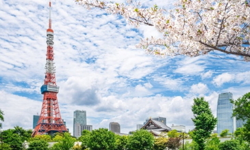 Elegant Japonya & Güney Kore Turu - Ekstra Turlar Dahil