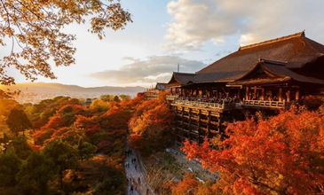 Elegant Japonya & Güney Kore Turu - Ekstra Turlar Dahil