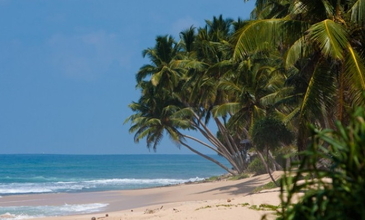 Elegant Sri Lanka - Ekstra Turlar Dahil