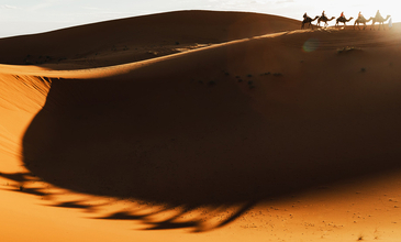 Vize Dahil Ankara‘Dan 4 Kal 3 Öde Dubai Turu - Pegasus Havayolları Özel Seferi İle - 4 Gece 7 Gün