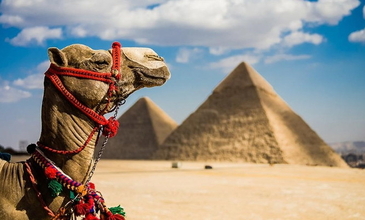 Kahire & Sharm El Sheıkh Turu - Pegasus Havayolları İle - 5 Gece 7 Gün