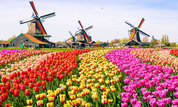 Comfort Benelüx - Paris - Alsace - İsviçre Turu - Türk Hava Yolları ile - 7 Gece 8 Gün - Ekstra Turlar Dahil