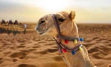 Dubai Turu - AJet Havayolları İle - 3 Gece 5 Gün