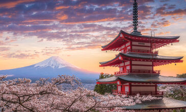 Comfort Japonya Turu - Etihad Hava Yolları ile - 7 Gece 10 Gün - Ekstra Turlar ve Çay Seramonisi Dahil