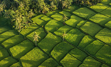 Bali & Ubud Turu - Emirates Havayolları ile - 6 Gece 9 Gün