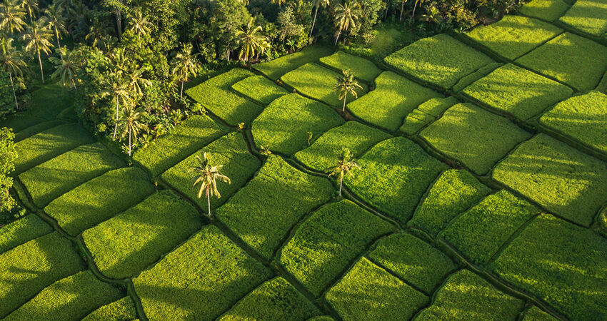 Bali & Ubud Turu - Emirates Havayolları ile - 6 Gece 9 Gün