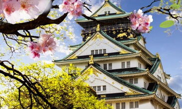 Elegant Japonya & Güney Kore Turu - Türk Havayolları ile - 7 Gece 9 Gün