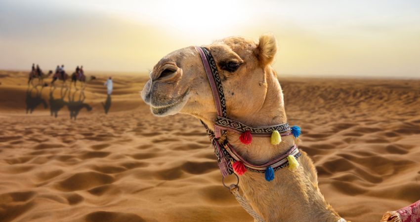 Dubai & Legoland Turu -  AirArabia Hava Yolları - 5 Gece 6 Gün