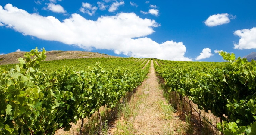 Güney Afrika Turu - Türk Havayolları - 7 Gece 8 Gün