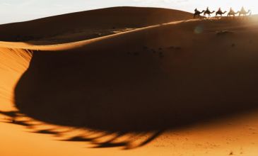 Hilton Özel Vize Dahil Dubai Turu - Ajet Havayolları ile - 3 Gece 6 Gün