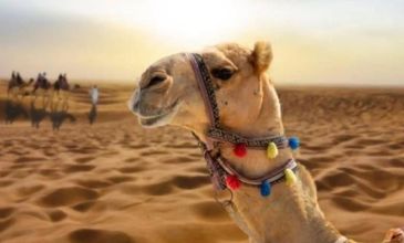 Süper Promo Sharm ve Kahire Turu - Ajet Havayolları ile - 5 Gece 7 Gün - 15 Temmuz Özel