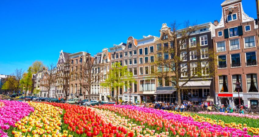 Amsterdam Turu - Türk Havayolları İle - 3 Gece 4 Gün