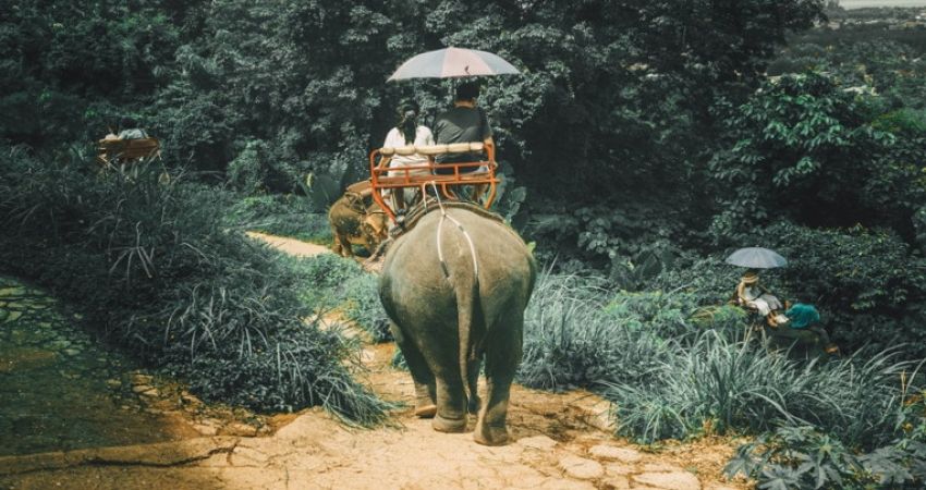 Elegant Bangkok & Phuket & Pattaya Turu - Saudia Hava Yolları İle - 6 Gece 9 Gün - Ekstra Turlar Dahil