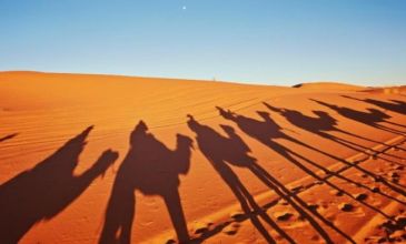 Fas Kraliyet Şehirleri Turu  - AirArabia Hava Yolları ile -  4 Gece 5 Gün