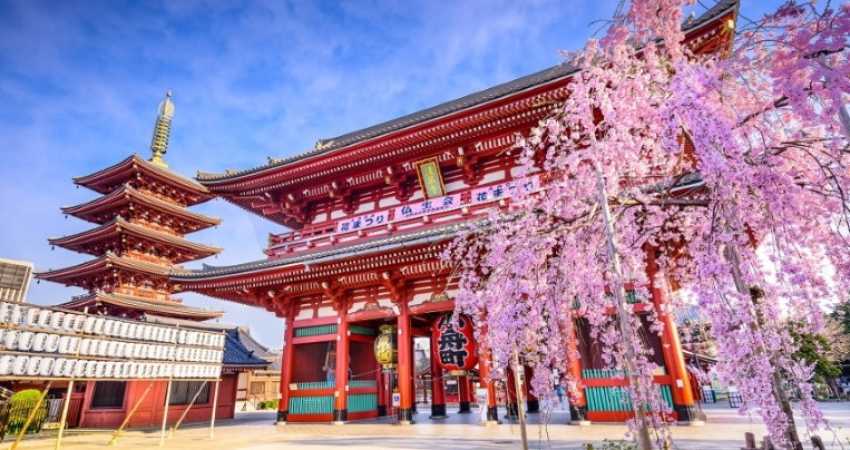 Asya’nın Üç Büyük Efsanesi  G.Kore - Japonya – Çin Turu - Türk Hava Yolları İle - 11 Gece 14 Gün