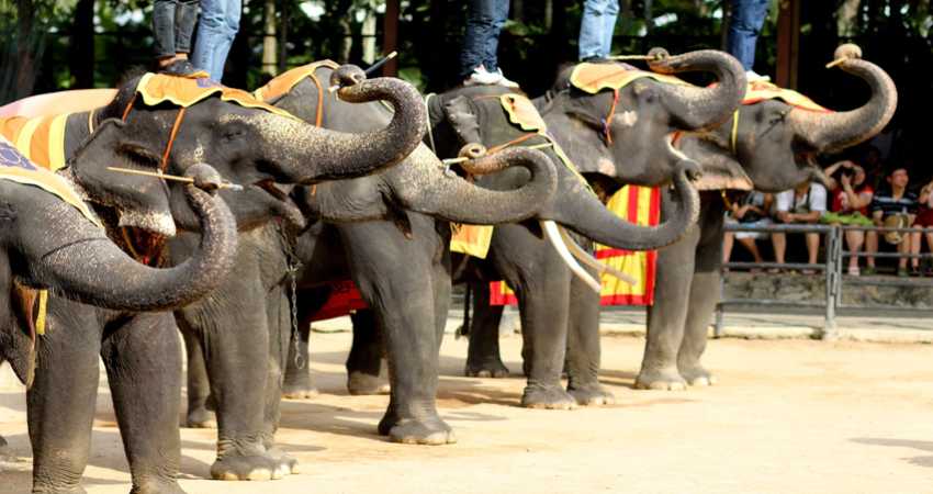 Tayland – Bangkok & Phuket & Pattaya - Türkmenistan Havayolları ile - 9 Gece 10 Gün - 2026