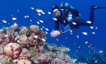 Sharm El Sheikh Turu - AJET Havayolları ile - 6 Gece 7 Gün - Kurban Bayramı Özel