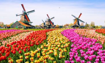 Adana'dan Benelux & Paris & Alsace Promo Turu - Sunexpress Havayolları İle - 6 Gece 7 Gün