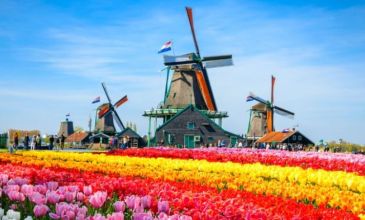 İzmir'den Direkt Sefer İle  Hollanda & Almanya Turu -  - Sunexpress İle - 3 Gece 4 Gün - Yılbaşı Özel