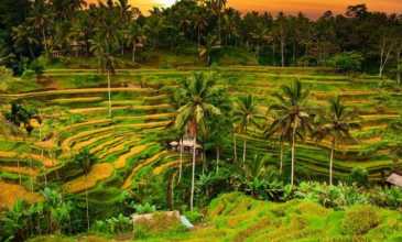 Egzotik Cennet Bali - Ubud - Malezya - Kuala Lumpur Turu - Air Asia Havayolları ile - 9 Gece 11 Gün  - Ekstra Turlar Dahil